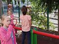 IMG 20240918 102554