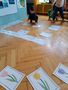IMG 20250516 091248