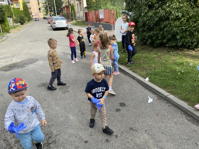 IMG 3082