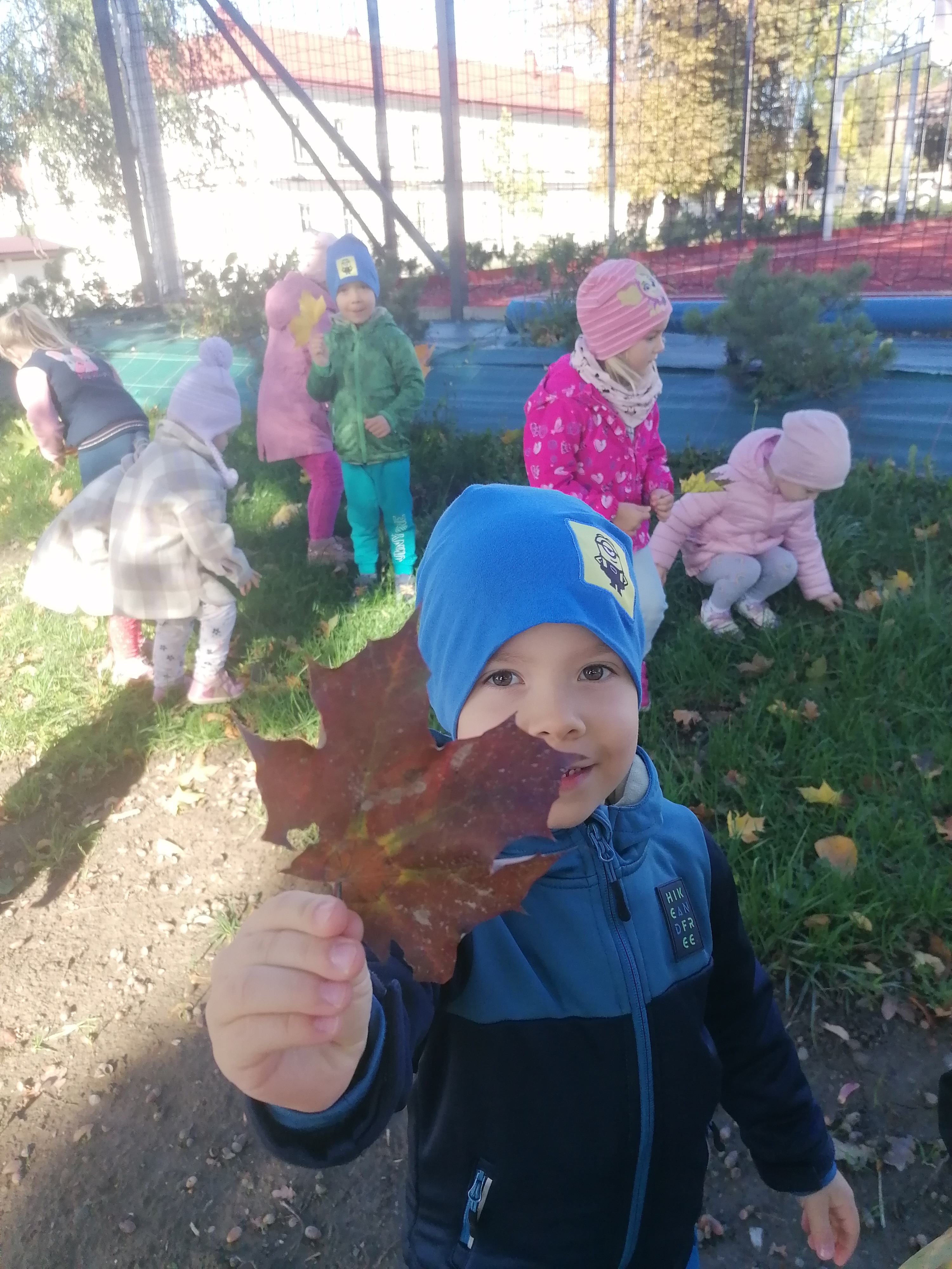 IMG 20221006 100738