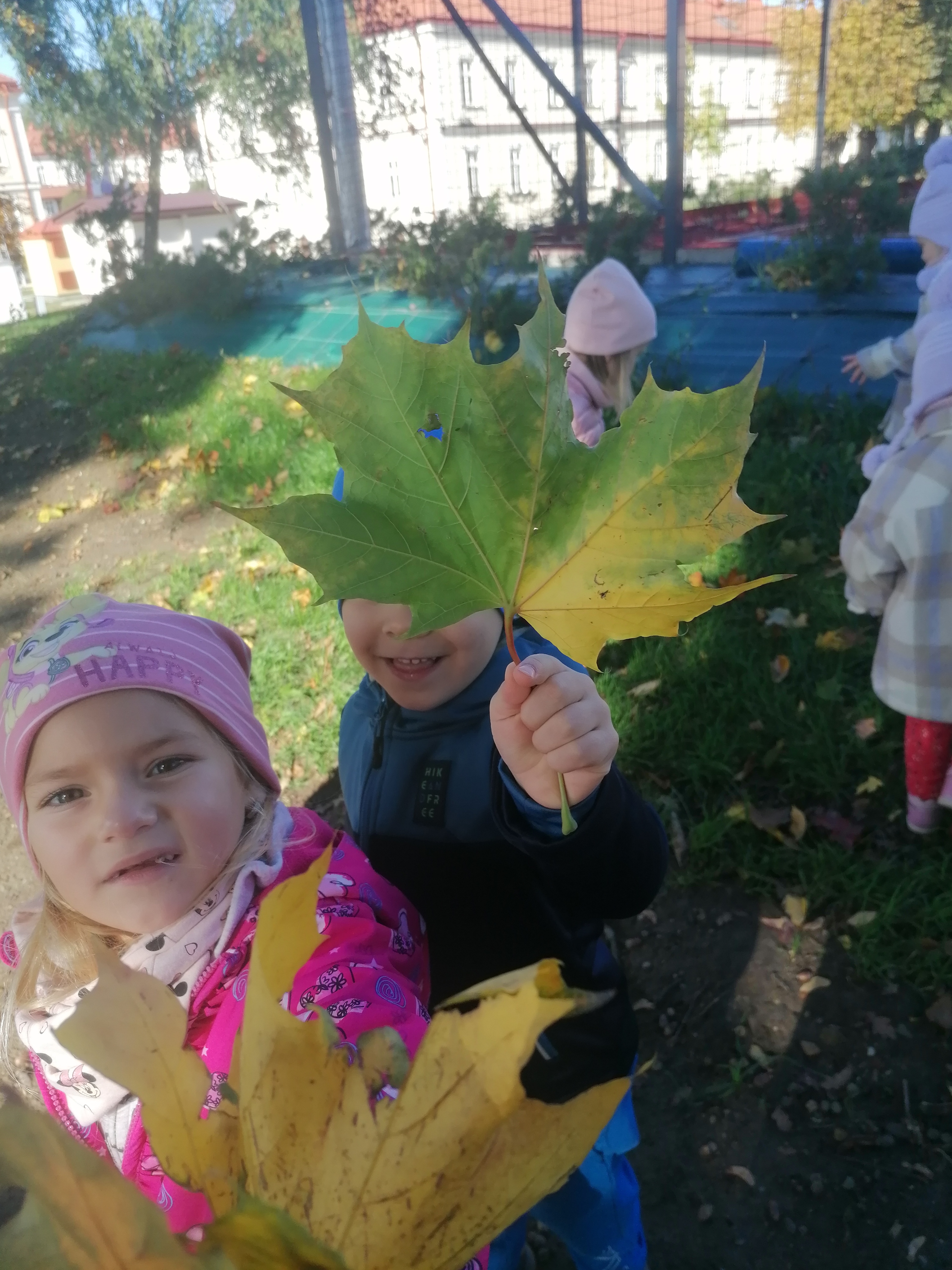 IMG 20221006 100738